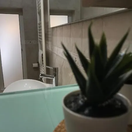 ベッド・アンド・ブレックファスト Casa Karina *